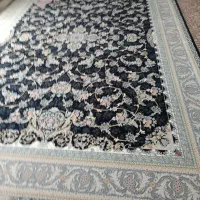 فرش ۱۲۰۰ شانه  نو نو|فرش|اصفهان, سپاهان‌شهر|دیوار