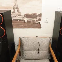 اسپیکر پالادیو دو قلو با رقص نور