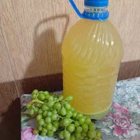 آبغوره درجه یک|عمده‌فروشی|شیراز, دشت چنار|دیوار