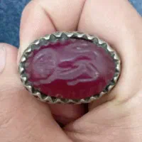 انگشتر شیر نشان