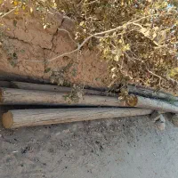 تیر برق چوبی|مصالح و تجهیزات ساختمان|زارچ, |دیوار