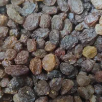 کشمش پلویی(آفتابی)