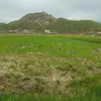 فروش زمین کشاورزی