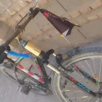 دوچرخه 24عروسک