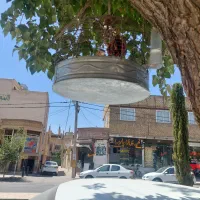 سهره خاکی آخرای لکشه کلام دار بی بی جون قیمت مناسب|پرنده|اصفهان, شیخ اشراق|دیوار