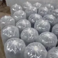 کپور و امور گرمی|ماهی|رشت, گلسار|دیوار