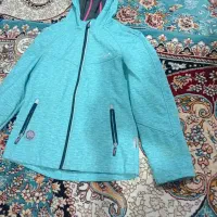 ویندیستافر