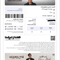 بلیط کنسرت محسن ابراهیم زاده نجفآباد