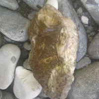 سنگ خاص|کلکسیون اشیاء عتیقه|املش, |دیوار