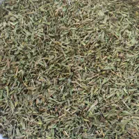 سبزی کوهی