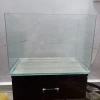 آکواریوم شیشه خم