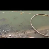 مشارکت در مزرعه پرورش ماهی ومجموعه گردشگری|مشارکت در ساخت املاک|زابل, |دیوار