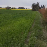 زمین-کشاورزی-3333-متر