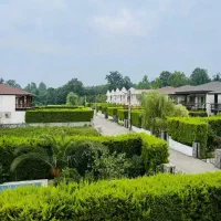زمین‌جنگلی300متری+ویوجنگل+سنددار+قابل‌ساخت+جوربند