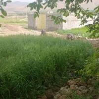 اجاره-زمین-کشاورزی