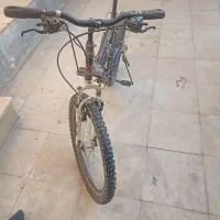 دوچرخه|دوچرخه، اسکیت، اسکوتر|نورآباد, |دیوار