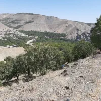 استخدام منشی و کمک حسابدار