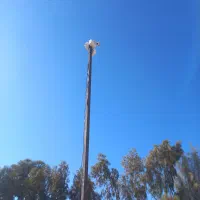 نصب و فروش دوربین و برق کشی ساختمان|دوربین مداربسته|داراب, |دیوار