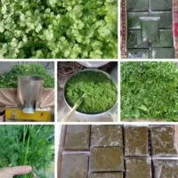 سبزی قورمه رامهرمز درجه یک