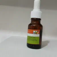 چهار عدد عروس هلندی|پرنده|تهران, شهرک آسمان|دیوار