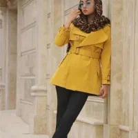 پالتو بارونی