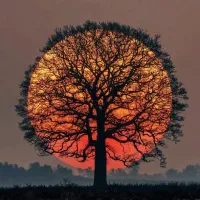 نماز،روزه،ختم قرآن و غیره