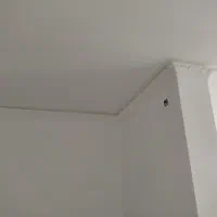 گچکاری و تعمیرات گچکاری|خدمات پیشه و مهارت|مرودشت, بیست متری بیمارستان|دیوار