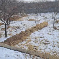 باغ-ویلایی-اسکو-800متر