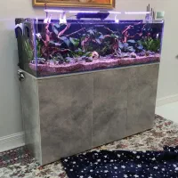 نصب و سرویس دوره ای آکواریوم