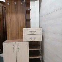 جاکفشی ایستاده در حدنو