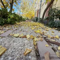 تک واحدی مستردار مرکز بهشتی 3 خواب