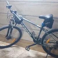 دوچرخه سایز 29 فونیکس