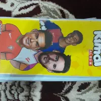 کیمدی معاوضه با مرغ عشق انگلیسی ویا فنچ|کلکسیون و سرگرمی|خواف, |دیوار