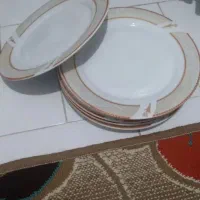 بشقاب پلو خوری نونو اصلا استفاده نشده|ظروف سرو و پذیرایی|پاکدشت, شهرک امام رضا|دیوار