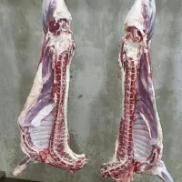 قصاب سیار گاو گوسفند|خدمات پذیرایی، مراسم|ارومیه, |دیوار