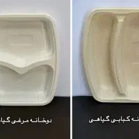 ظروف گیاهی