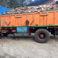 کود مرغی|خدمات باغبانی و درختکاری|رشت, چله خانه|دیوار