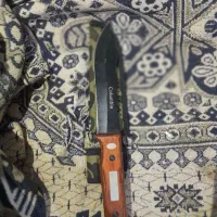 کبوتر  معاوضه|کلکسیون و سرگرمی|گنبد کاووس, |دیوار
