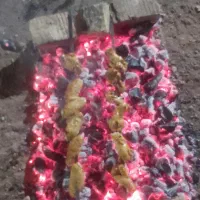 زغال کبابی|عمده‌فروشی|شیراز, ابیوردی|دیوار