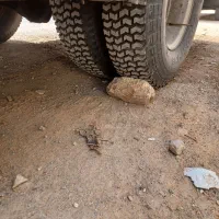 مینی بوس اویکو مدل ۷۷