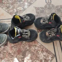 کفش|کیف، کفش، کمربند|هامون, |دیوار