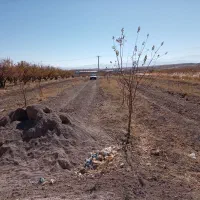 فروش|فروش دفتر صنعتی، کشاورزی، تجاری|سمیرم, |دیوار