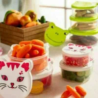 ظرف غذا ۴ تیکه( گالری کوروش)