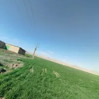 فروش زمین کشاورزی