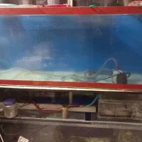 ۲عدد اکواریوم بزرگ .