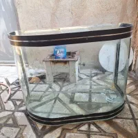 آکواریوم شیشه خم و سنگ و صدف|ماهی|کرمانشاه, |دیوار