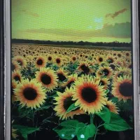 گوشی‌جی۵‌وه‌گوشی‌هواپیp9lait