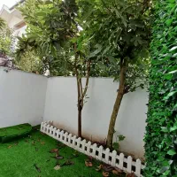 زمین ۲۹۰ متری چابکسر