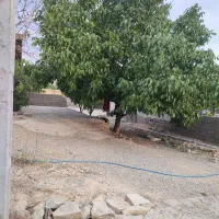 ۲۲۰ متر زمین مسکونی اماده ساخت پشت تجاری|فروش زمین و ملک کلنگی|اهواز, دانشگاه چمران|دیوار