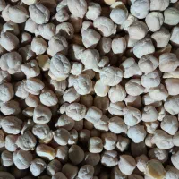 نخود سفید خوش پخت